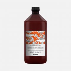 Davines NATURALTECH Energizing Shampoo 1000ml