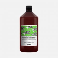 Davines NATURALTECH Renewing Conditioning treatment 1000ml