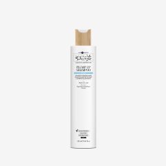 Hair Company Inimitable Style Creative Inspiration Plump up shampoo 250ml
